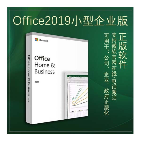 OFFICE 2019小型企业版